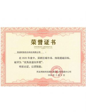 荣誉证书-优秀渠道伙伴奖